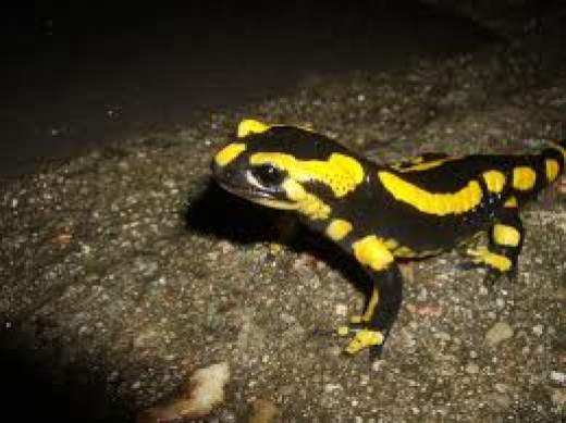 monde-souterrain.jpg -