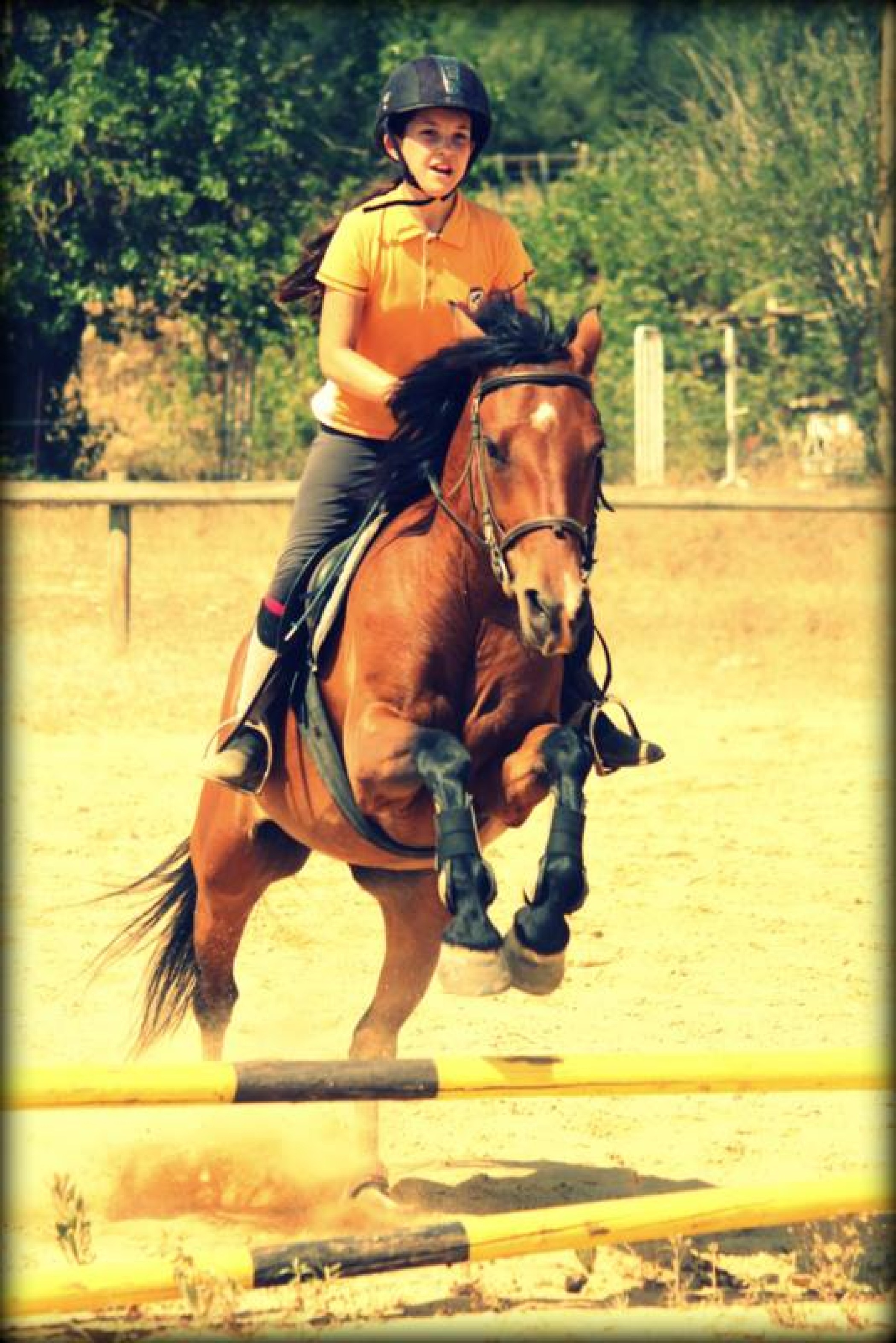 equitation-saut.jpg -